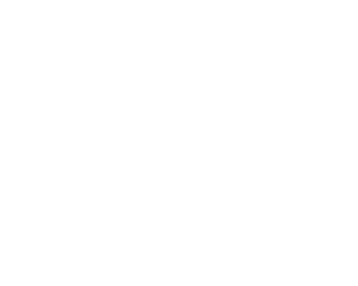 aerlingus logo