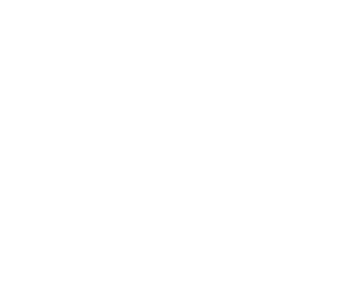 customs window logo