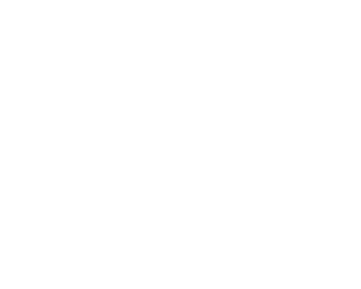 NVD logo