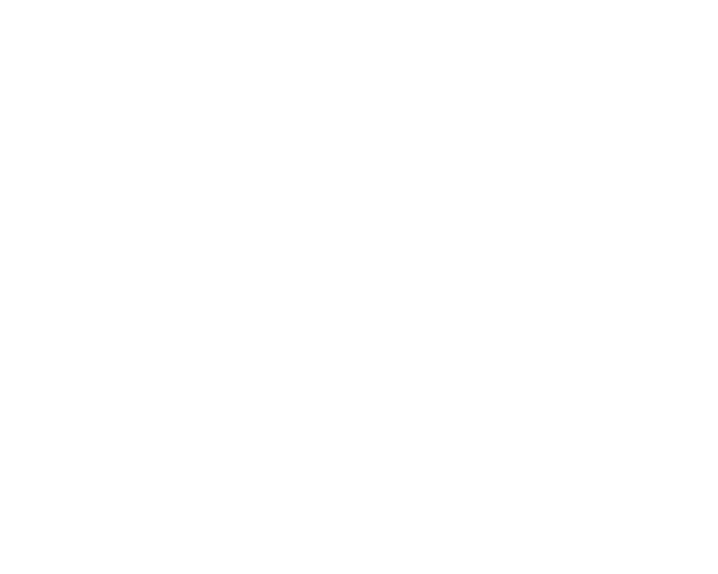 net logo